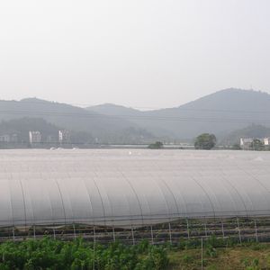 قماش PP غير منسوج للتنفس للزراعة غطاء قماش الصقيع - Product Image 3