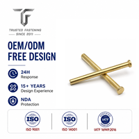 Rivets plats solides OEM TianFang pour butées de glissières de tiroirs-caisses, en cuivre, finition étamée, avec service de dessin technique et approvisionnement en gros