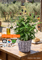Composition de table en olives artificielles en gros avec panier en rotin et mini-plante en pot pour décoration intérieure