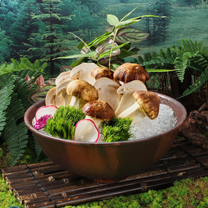 Assiette de glace sèche, assiette de tripes, assiette de fondue au bœuf flocon de neige, créations en mélamine du restaurant populaire de hot-pots style montagne - Product Image 1