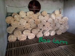 Top Desechable bambú palillos sushi a granel Madera Twin Sushi 21-24 cm Palillos Desechables hechos en Vietnam - Product Image 3