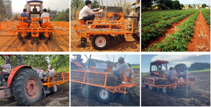Máquina de Plantación de Yuca Tipo Tractor de Alta Eficiencia con Componentes Centrales de Engranajes, 100HP, 2 Filas, Espacio entre Filas de 60-70cm - Product Image 5