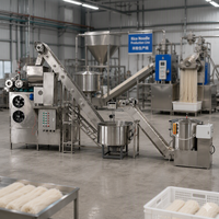 Machine à Nouilles de Riz Fraîches Automatique : Équipement d'Extrusion pour Projets de Transformation Alimentaire en Gros