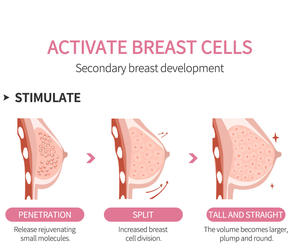 Óleo Extrato de Kigelia Africana para Aumento de Seios, Frete Grátis, <span class=keywords><strong>10</strong></span> Ml/Botão, Extrato de Fruto Chandelier - Product Image 5