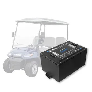 24V 48V 72v 65ah 100ah 150ah 200ah 280ah carrito de golf LiFePO4 Paquete de batería de iones de litio 51,2 V ciclo profundo