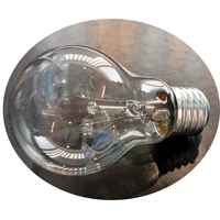 Ampoule Incandescente Transparente E27/B22 220v 110v 75w 100w Directement de l'Usine
