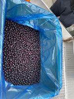 Groothandel Diepvries Zwarte Bessen 2026 Nieuwe Oogst IQF Zwarte Bessen Zonder Toegevoegde Suiker Bulkverpakking Fruit