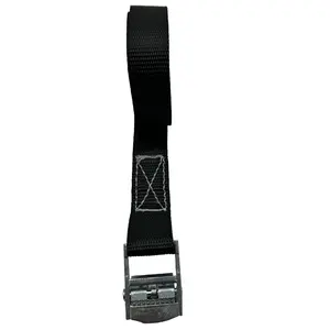 LC 250daN 25mm 2m Ratchet Tie down/Light Duty High Tenacity Lashing Belts With Steel Ratchet Buckle