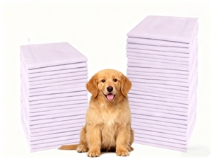 Almohadillas de Entrenamiento para Perros Súper Absorbentes de 60x60CM, a Prueba de Fugas, de Secado Rápido, con Fuerte Rendimiento Desodorizante - Product Image 1