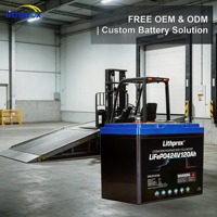Penggantian Langsung Baterai Industri 24V 120AH LFP LiFePO4 untuk Reach Truck, Bersertifikasi RoHS CE UN38.3 FCC, Solusi OEM ODM