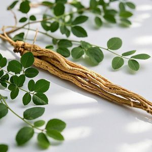 Dang Shen Organic Codonopsis Pilosula Spice Alta Qualidade Rica Nutrição Codonopsis Segmento Raiz - Product Image 6