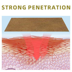 Vente chaude : Plâtre articulaire et musculaire à l'armoise pour le soin du corps, lombaire, cervicales, genou, jambe, muscles squelettiques, santé personnelle, 14*10.5cm - Product Image 3