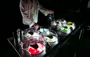 Machine à glaces et gelato professionnelle PRO V6, fabriquée en Chine, avec <span class=keywords><strong>6</strong></span> <span class=keywords><strong>pots</strong></span> cylindriques en acier inoxydable, pour yaourt, lait, fruits et chocolat. - Product Image 5