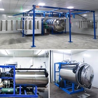 Commerciële Fruit-En Groentedroger/Vacuüm Bevriezen Fruit En Plantaardige Lyofilisator Gedroogde Droogmachine Liofilizador Industrieel