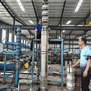 Precision Cast Technical Documentation Deep Well <b>electric</b> stainless steel <b>water</b> <b>pump</b> for Groundwater Extraction - Product Image 2