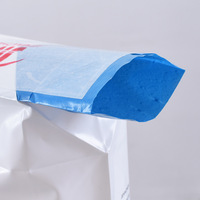 Kundenspezifisch Bedruckte Hitzeversiegelte Flachmündige PE-Beutel 25kg Tragfähigkeit Chemikalien-Plastikventilbeutel