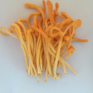 Fleurs de Cordyceps séchées authentiques Cordyceps Militaris Champignon comestible vendu en vrac pour une utilisation dans <span class=keywords><strong>les</strong></span> soupes, <span class=keywords><strong>les</strong></span> toniques et <span class=keywords><strong>les</strong></span> <span class=keywords><strong>bouillons</strong></span> - Product Image 3