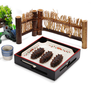 Ensemble de vaisselle carrée pour la cuisine japonaise ; assiette créative japonaise pour servir du bœuf au barbecue. - Product Image 1