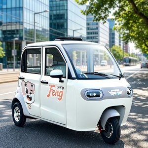 <span class=keywords><strong>Triciclo</strong></span> Eléctrico Pequeño Totalmente Cerrado, Vehículo Familiar de Baja Velocidad para Desplazamientos, Vehículo para Mujeres y Personas Mayores - Product Image 1