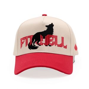 Gorras de Béisbol Deportivas de 5 Paneles con Diseño de Logotipo Personalizado en Dos Tonos - Product Image 3