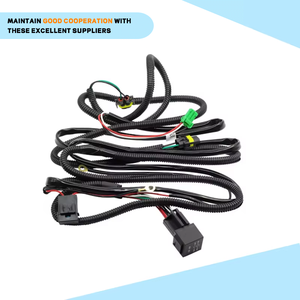 Özelleştirilmiş yüksek hacimli kablo demeti kablo donanımları özelleştirilmiş elektrikli araç motosiklet kablo demeti çin kablo demeti - Product Image 5