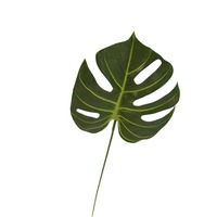 Feuillage artificiel de style nordique inspiré d'Instagram, feuilles de Monstera, décoration intérieure, présentation en vitrine, aménagement paysager, mariage