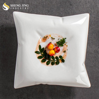 INS Creative Rectangulaire Porcelaine Plat Poli Rectangulaire Plateau Carré pour Restaurant Buffet Dessert Vaisselle Forme De Savon