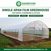 Serre tunnel de protection des cultures pour tomates, concombres, fraises et pépinières de fleurs