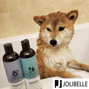 <span class=keywords><strong>Shampooing</strong></span> Naturel en Gros pour Chiens et Chats – Élimine les Allergènes, Répare les Peaux Sèches, Apaise les Zones Sensibles – Ingrédients Naturels – Personnalisable - Product Image 4