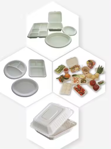 bagasse tableware manufacturing machine