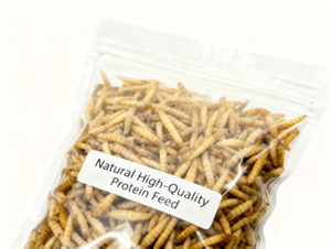 Proteína de Larvas de Mosca Negra Orgánica BSFL, Gusanos Negros al por Mayor de Alta Calidad Hechos de Insectos, Alimento para Mascotas y Animales - Product Image 2