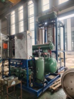 Machine à glaçons comestibles de qualité alimentaire, pour usage domestique, restauration et hôtellerie, boissons froides, extraction à froid