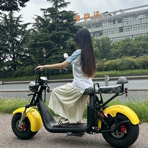 Citycoco Scooter <span class=keywords><strong>E</strong></span> <span class=keywords><strong>Bike</strong></span> EEC COC 2000W 45 km/h 60V 20Ah Batería Neumáticos gordos Colores personalizados Unisex para adultos - Product Image 3
