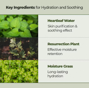 น้ำมันทำความสะอาดผิวหน้า JMSOLUTION Heartleaf Deep Cleansing Oil 200 มล. ขายดี ช่วยทำความสะอาดรูขุมขน ควบคุมความมัน ล้างเครื่องสำอาง - Product Image 6