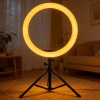 Lampe vidéo LED Qiniu 12 pouces avec trépied 2M en ABS, alimentation CA 10W, intensité réglable, 3 modes de couleur pour le streaming en direct, TikTok, maquillage