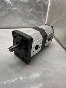 Bombas <span class=keywords><strong>de</strong></span> Engranajes <span class=keywords><strong>de</strong></span> Repuesto Serie AZPF, Serie AZPNFF, AZPNFF-12, AZPNFF-12-020/004/011RDC202020PB 0510665200 - Product Image 5