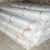 HDPE Landbouw Anti-insect Plantbeschermingsnet 100gsm 40*25 maas Anti-UV Kas Insectennet Ongediertebestrijding voor Tuinieren