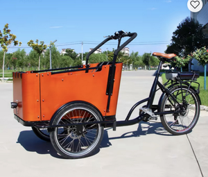 Bestseller dal Magazzino Olandese UE <span class=keywords><strong>Cargo</strong></span> Bike <span class=keywords><strong>Elettrica</strong></span> Olandese a 3 Ruote per Famiglie Bakfiets Rimorchio <span class=keywords><strong>Bici</strong></span> E-<span class=keywords><strong>cargo</strong></span> - Product Image 2