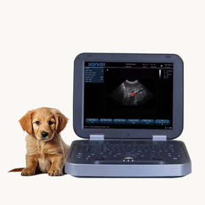 Fitin Fluxo sanguíneo cardíaco e renal médico Máquina portátil do ultrassom da cor doppler do ultrassom do varredor do ultrasonido do portátil - Product Image 1