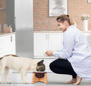 ידידותי לסביבה קרמית כלב קרמי מוצק קרמי עץ במבוק לעמוד עיצוב לוגו מותאם אישית ציוד - Product Image 3