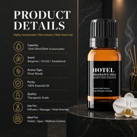 Parfum d'ambiance professionnel pour hall d'hôtel, liquide, longue durée, OEM, marque privée, vente en gros, huile parfumée pour hôtel