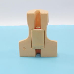 ผลิตภัณฑ์วิทยาศาสตร์ทางการแพทย์ที่เหมือนจริงเหมือนจริงโมเดลพีวีซีแบบมี J58ขั้นสูงสร้างแบบจำลองได้อย่างชัดเจนสำหรับโรงพยาบาลคลินิกวิทยาลัย - Product Image 2