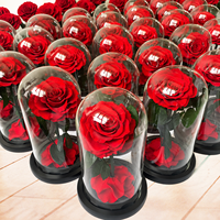 Roses éternelles artisanales préservées pour la Saint-Valentin, éternelles dans un dôme en verre avec LED
