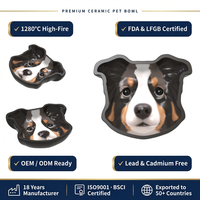 Bol pour animaux de compagnie en céramique peint à la main, motif Berger australien, couleurs vives, personnalisable, pour les marchés européen et américain, vente en gros