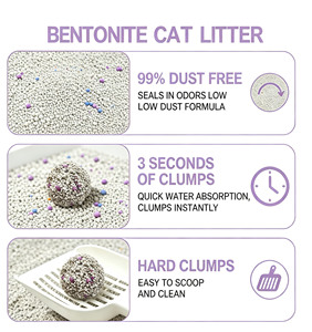 Lettiera per Gatti in Bentonite in Granuli da 1-3,5 mm, Agglomerante Rapido, Controllo Odori, Senza Polvere, Sabbia per Gatti in Bentonite di Sodio, 5L 4kg 10kg 25kg - Product Image 5