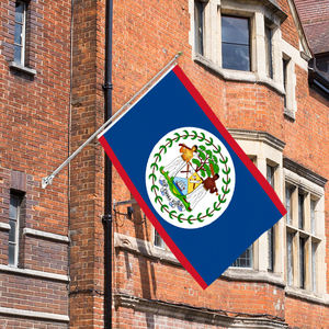 Banderines de Belize de 3x5 pies al por mayor, banderas de poliéster 100D personalizables para todas las naciones, entrega rápida de un proveedor fiable - Product Image 1