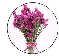 Di alta Qualità 100g Conservato Fiore Naturale Piante Floreali Me Non Fiore - Product Image 2