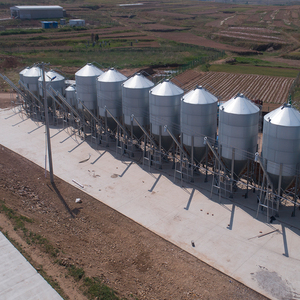 Durable Galvanized Feed Central Feeding Silo For 10000 Sows Pig <b>Farm</b> - Product Image 2