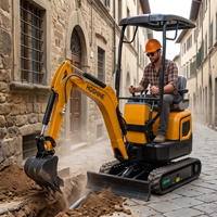Mini-excavatrice sur chenilles compacte de 2 tonnes, excavatrice sur chenilles à commande de précision avec pince hydraulique pour un nivellement fin