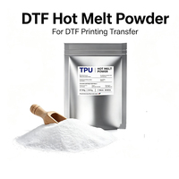 Printer DTF A3 13 Inci, Printer Film DTF dengan Shaker, Dual Printhead Epson R1390 untuk Mesin Cetak DTF Kaos/Pakaian